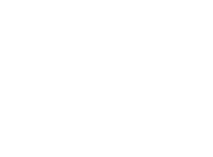 Grupo VDT