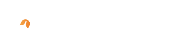 Grupovdt.com